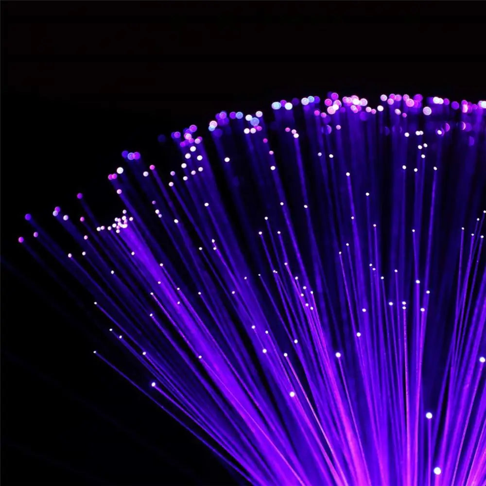 Multicolor LED Fiber Optic Lamp, Starry Sky, Night Light Furnishing